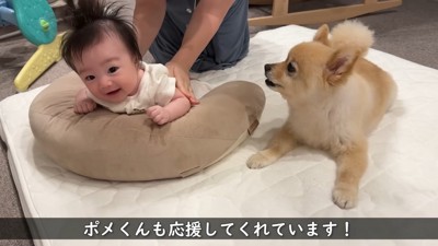 本当のお兄ちゃんのような姿にほっこり