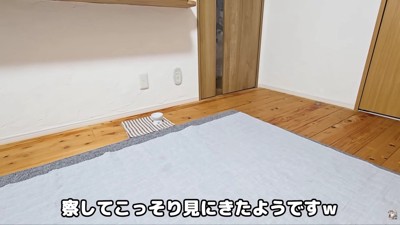 はっちゃんまで登場！！