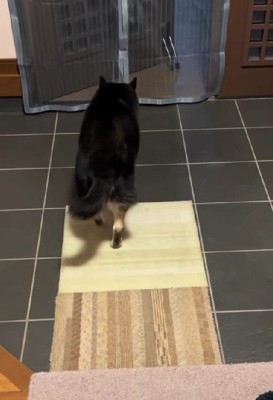 猫背の体勢で玄関へ