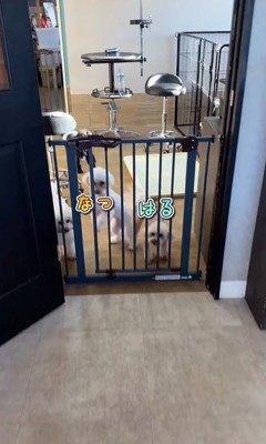 はるちゃん＆なつちゃんのお迎え2