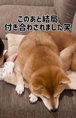 下を向くむぎちゃん