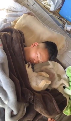 飼い主の口を舐める犬