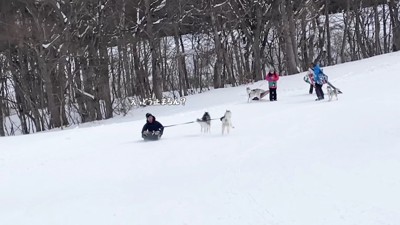 2頭で大暴走