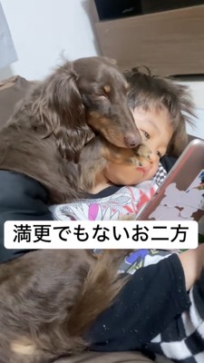 タブレットを見る男の子の上で眠るダックス