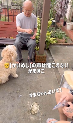 ご近所さんとかまぼこ君2