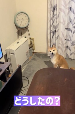 「言いたいことがあります」