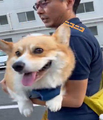 うれしそうな犬1