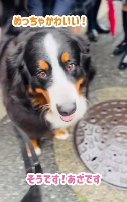 あざちゃんを知っている女子高生