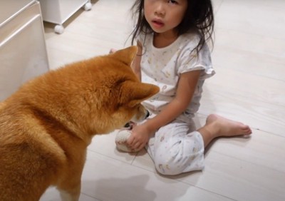 冷蔵庫の前に座った女の子と犬