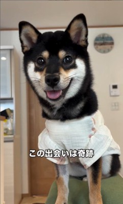 千幸ちゃんとご家族の1年間⑩