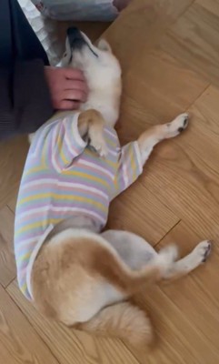 お客さんをお出迎え