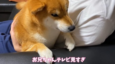 不満そうなお顔に