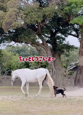 ずっとついてくる♪