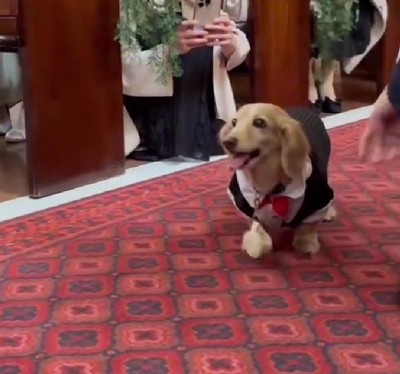 リングを届けて笑顔に♡