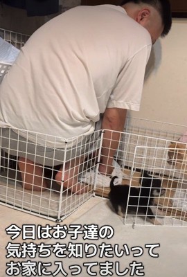わんこたちに夢中