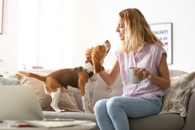 女性と犬