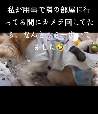 ひとりで立ち上がった!!