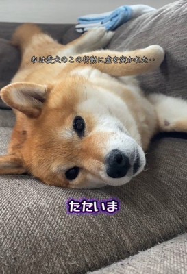 塩対応に戻ってしまいました！