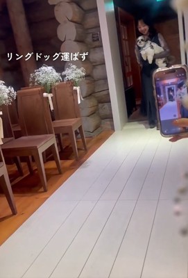 抱っこされる犬1