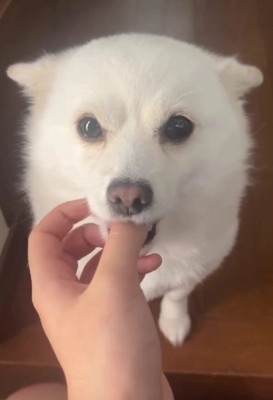 赤ちゃんみたいな姿にキュン♡