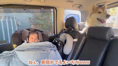 車体を揺らすいちみちゃん
