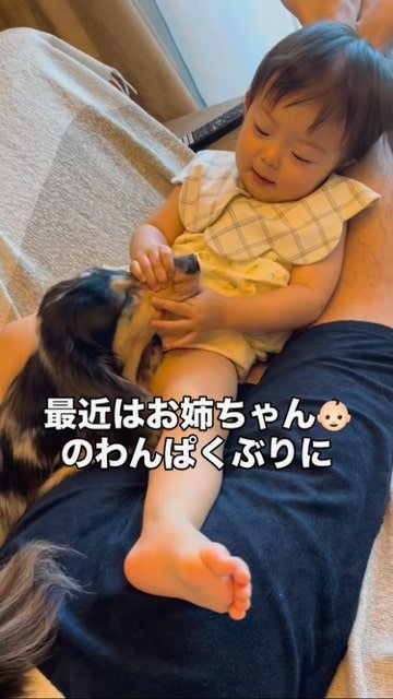 犬のマズルを鷲掴みするわんぱくな子ども
