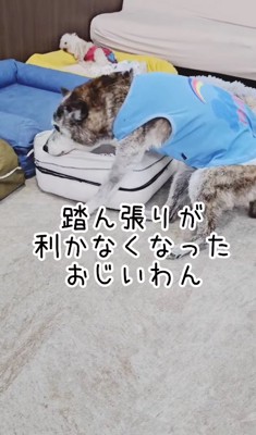 足腰の弱いおじいちゃん