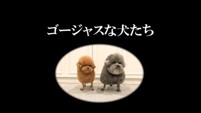 ゴージャス???