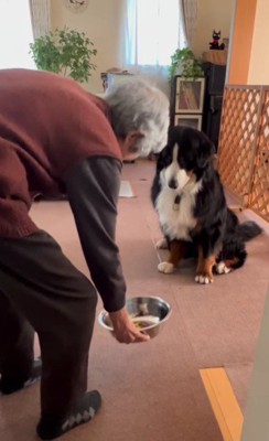 「ハイ、どうぞ」