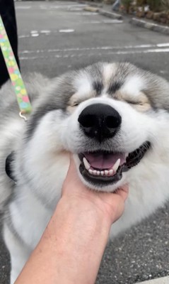 蓮くんの赤ちゃん時代と成長後の姿6