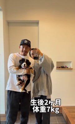 ダンボくんの成長5