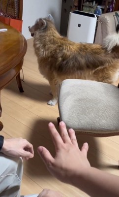 横の人を叩くご家族