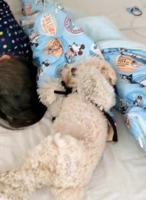 まるでミーアキャット！？