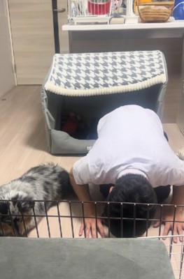 まさかの土下座！！