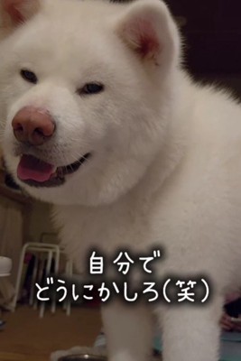 ギャップがたまらない♡