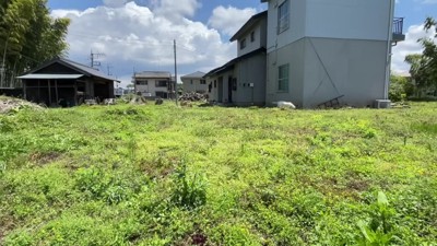 庭に平和が戻ったあと…