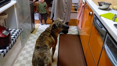 パパが戻ってきた時のりゅうさん7