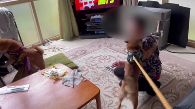 2匹も誕生日を祝います