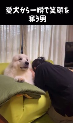 ドレミちゃんの表情の変化5