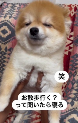 「楽しみだなあ…♡」