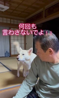 きなこちゃんとおじいちゃんのやり取り9