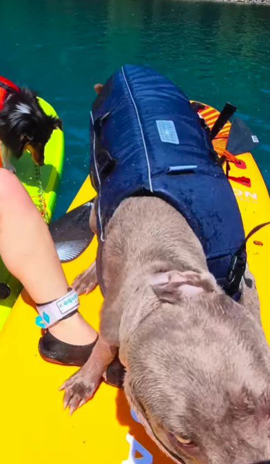 大変だったけど嬉しい