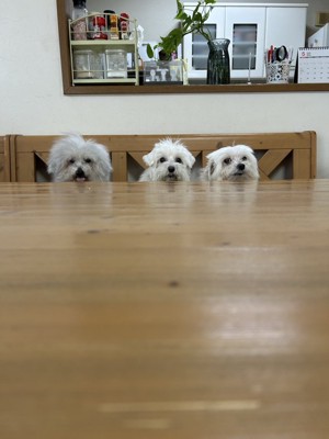 仲良し