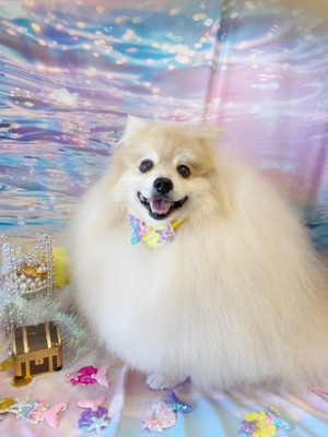 ふわふわ