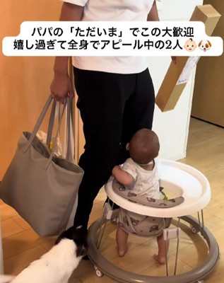 パパが帰宅したとき