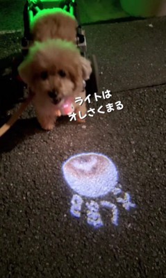 ライトはお名前付き！！