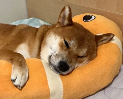 幸せそうな寝顔♡