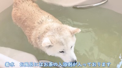 「ポカポカいい気持ち」