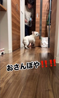散歩に連れて行きたいお父さんVSマルちゃん3