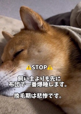 ひとりで布団を占領